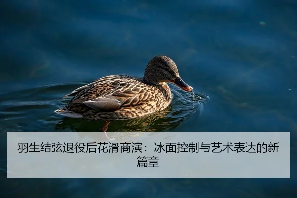 羽生结弦退役后花滑商演：冰面控制与艺术表达的新篇章