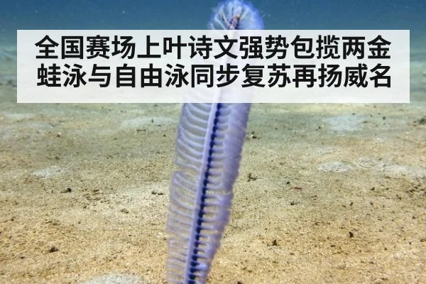 全国赛场上叶诗文强势包揽两金蛙泳与自由泳同步复苏再扬威名